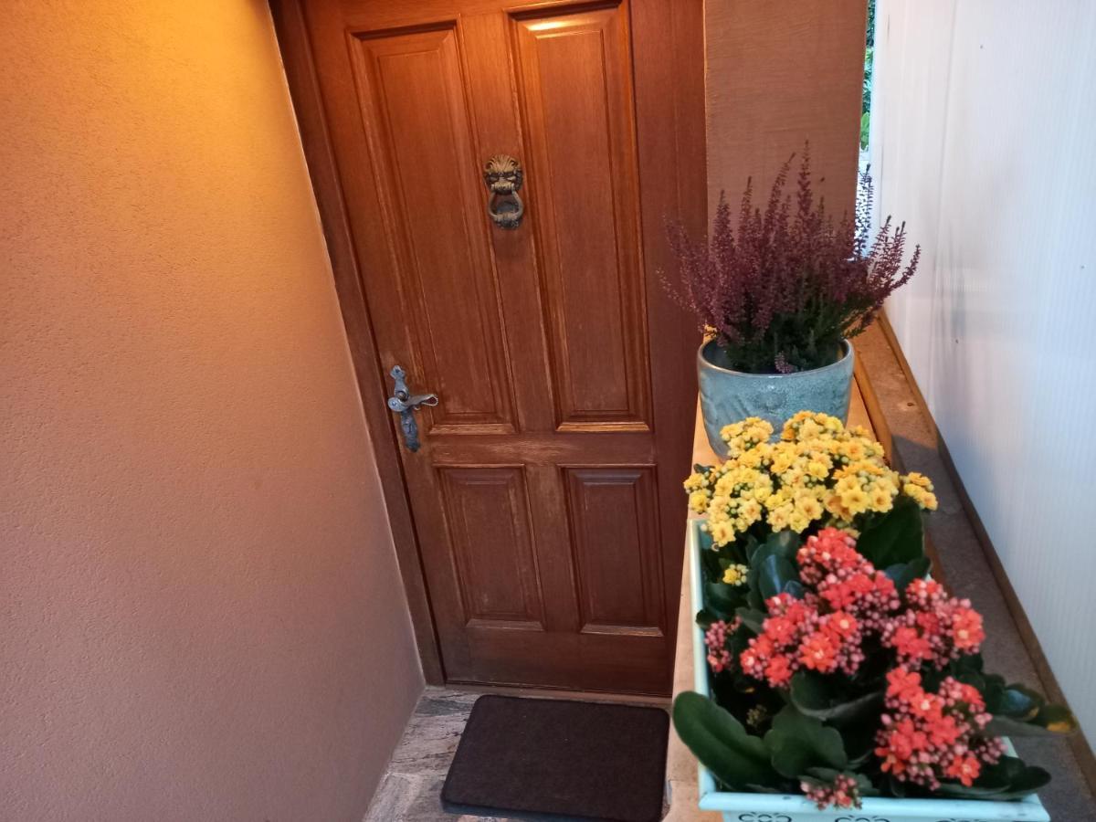 Blue Deer Apartman Umag Kültér fotó