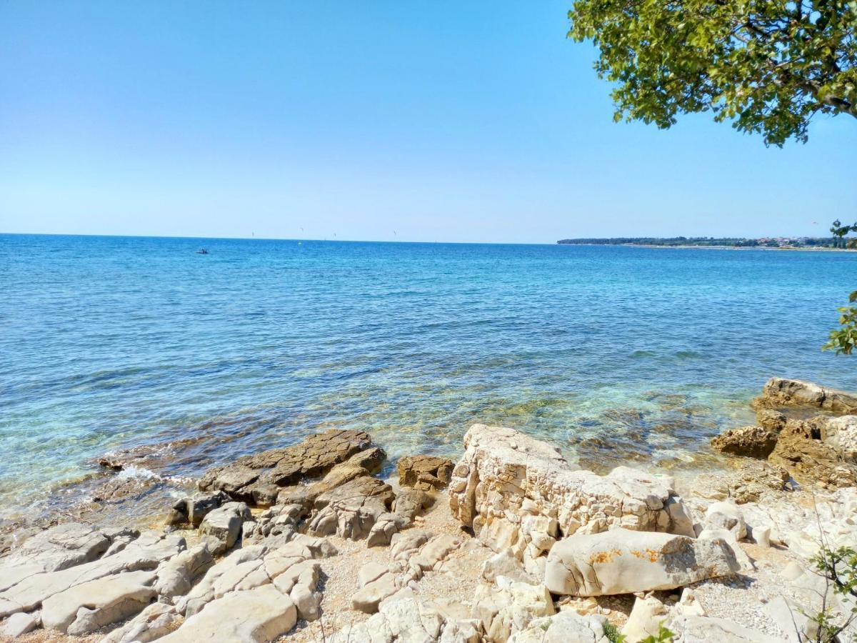 Blue Deer Apartman Umag Kültér fotó