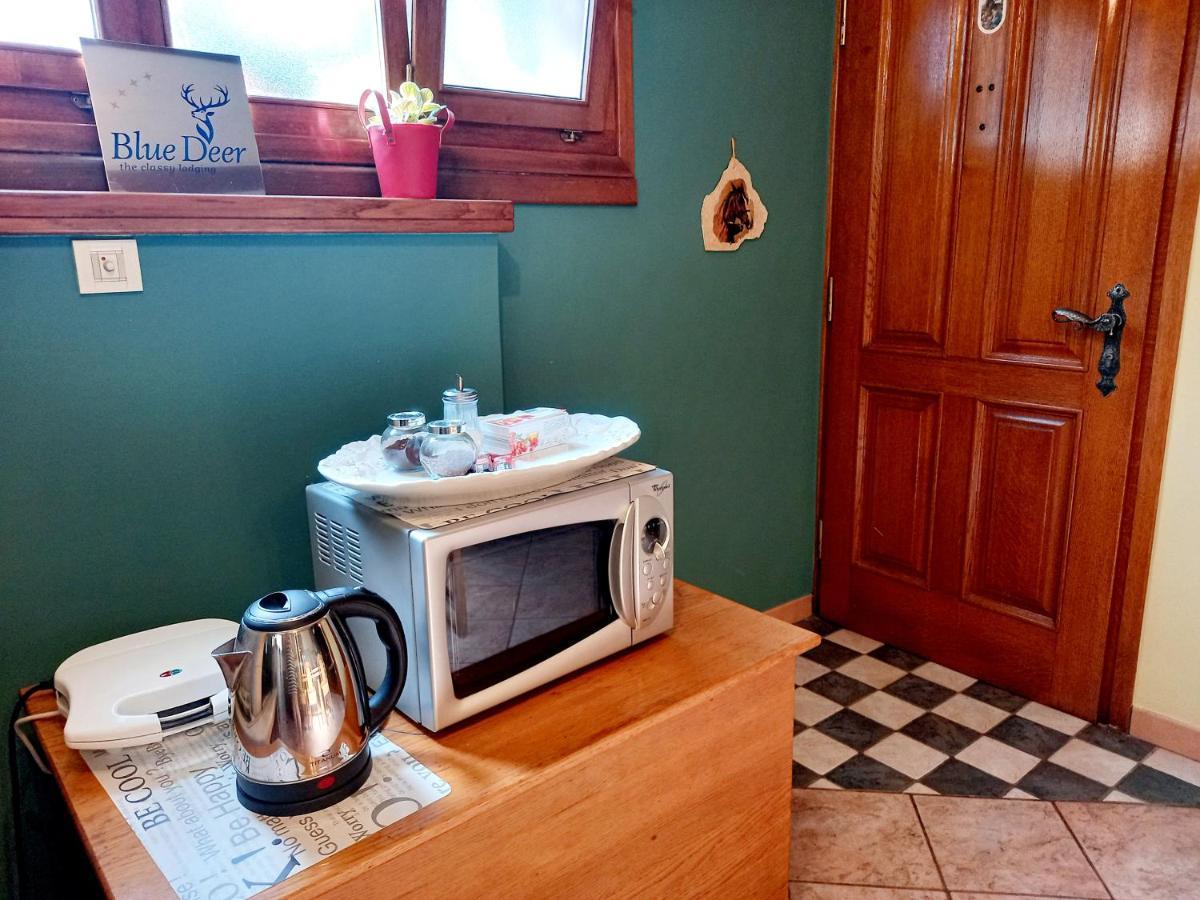 Blue Deer Apartman Umag Kültér fotó