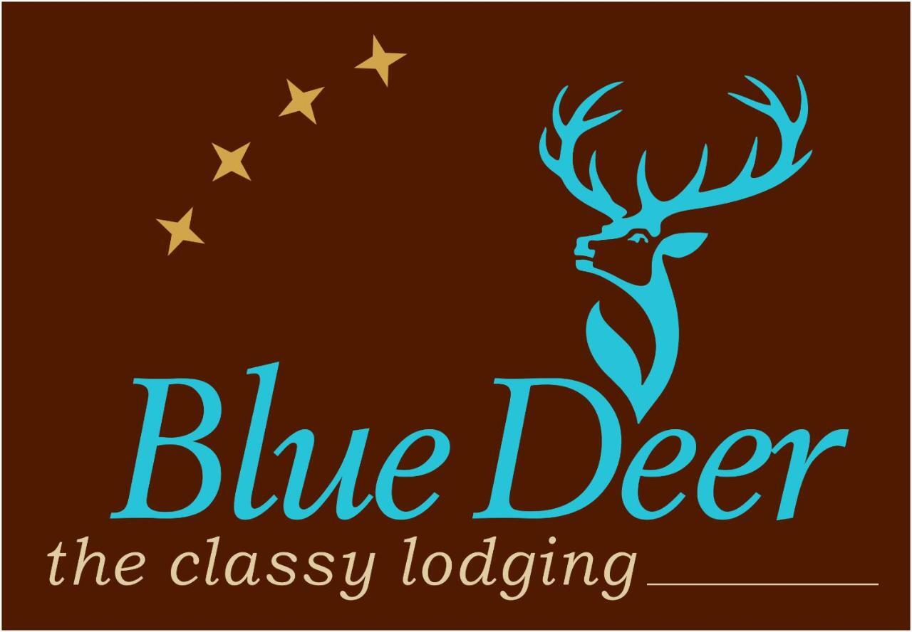 Blue Deer Apartman Umag Kültér fotó